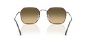 RAY BAN 0RB3694