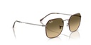 RAY BAN 0RB3694
