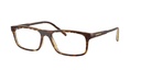 ARNETTE 0AN7194