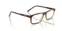 ARNETTE 0AN7194