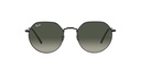 RAY BAN 0RB3565