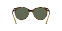 VOGUE 0VO5453S