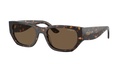 VOGUE 0VO5586S